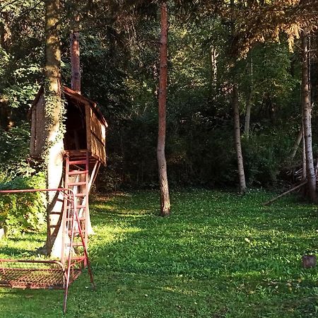 Apartman Oaza Olja Belgrado Buitenkant foto
