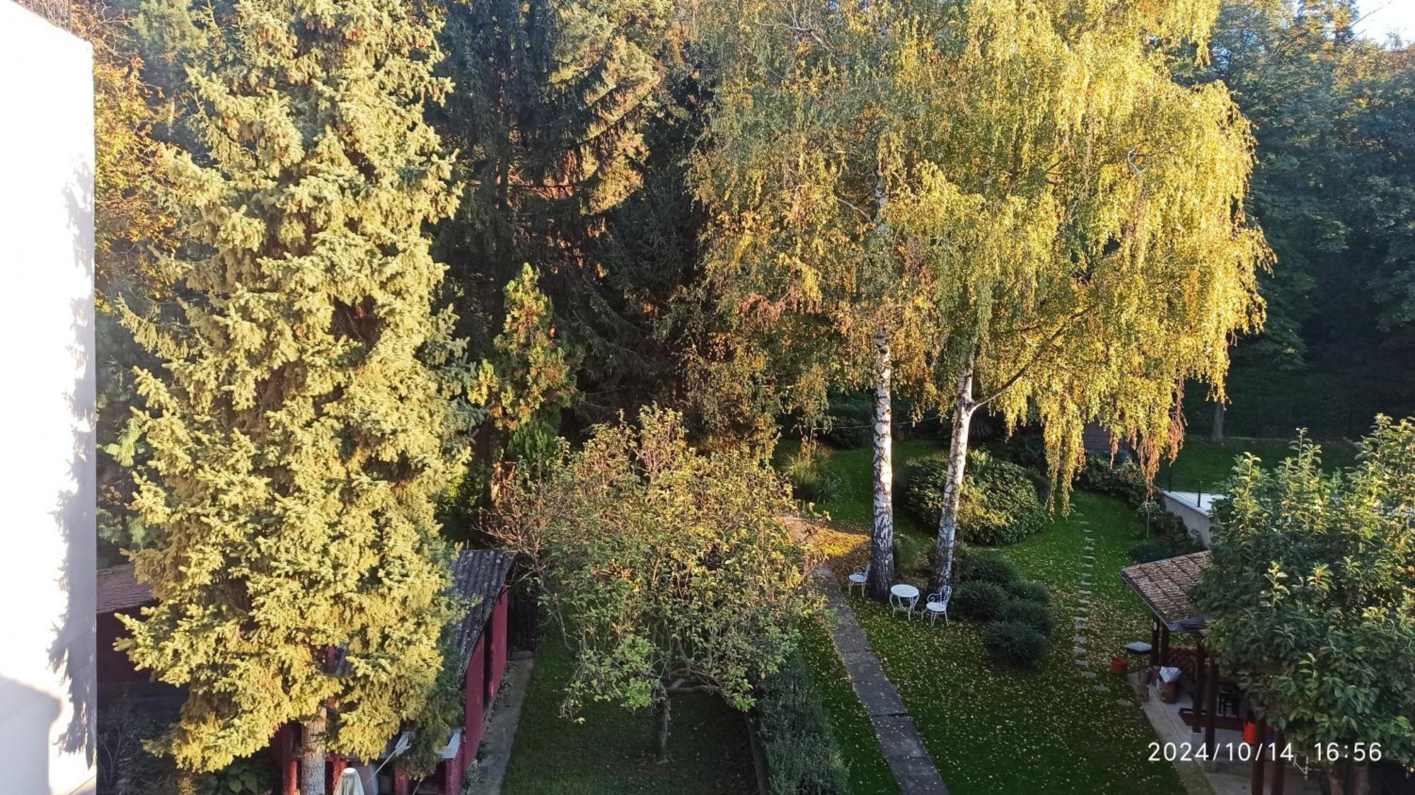 Apartman Oaza Olja Belgrado Buitenkant foto
